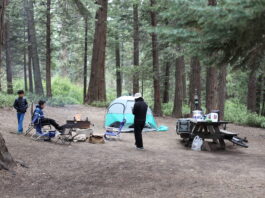dogwood campground