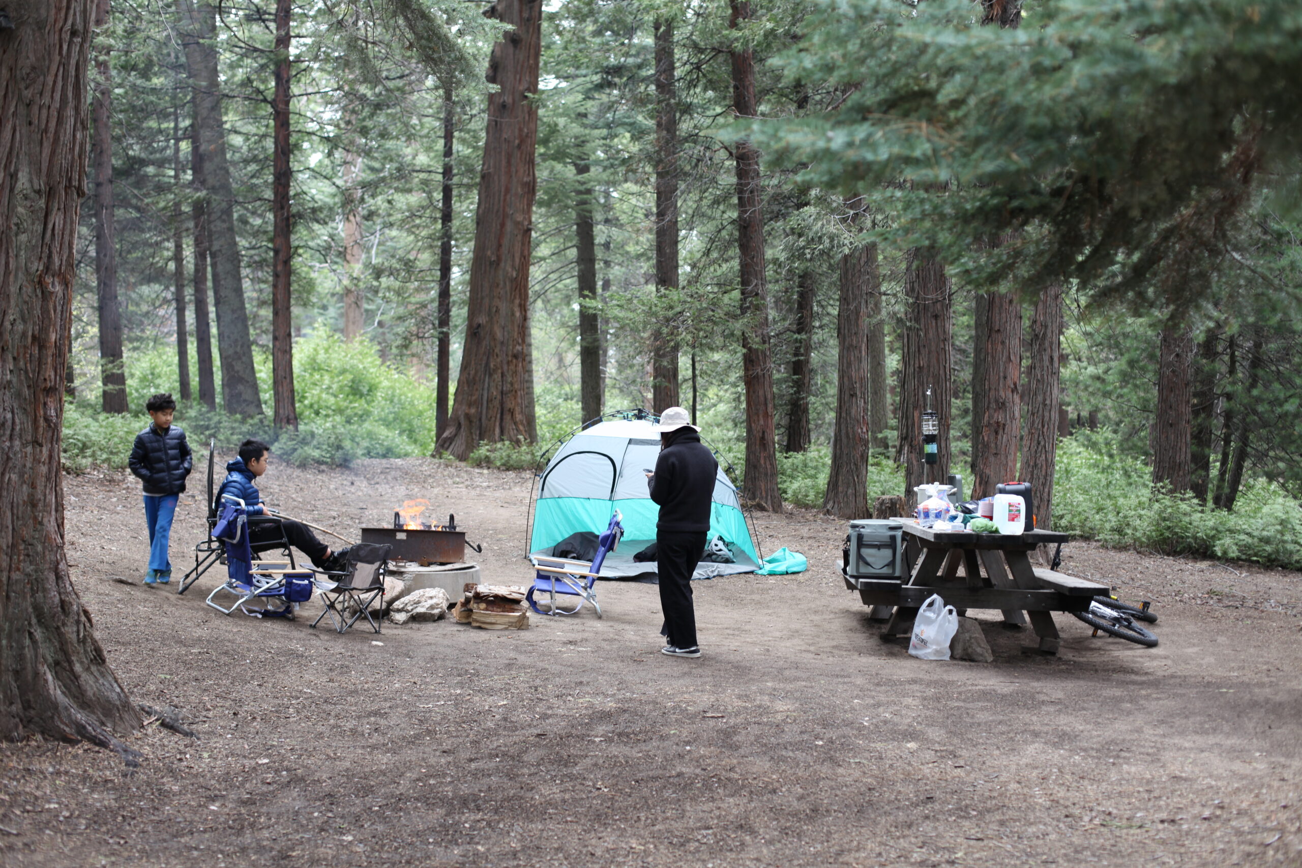 dogwood campground
