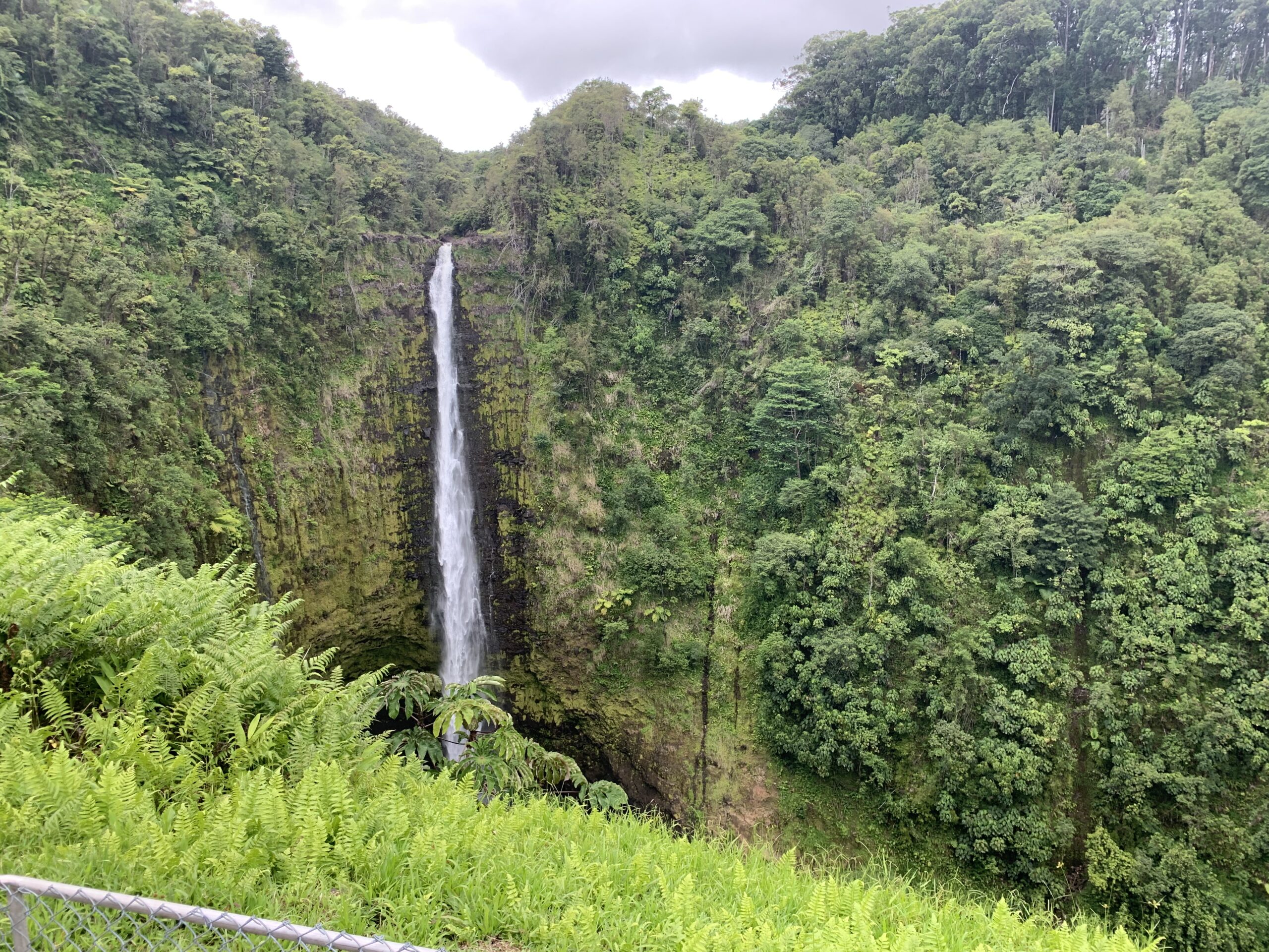 Akaka Falls @Big Island